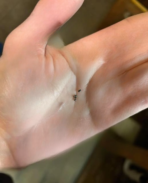 Noticed Small Metal Beads Under Your Kitchen Sink? Here’s What’s Likely Happening — and How to Fix It