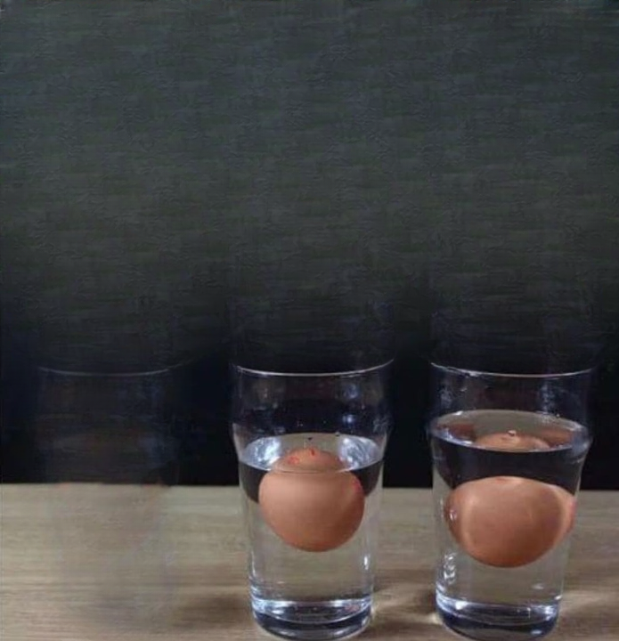 How to Tell If an Egg Has Gone Bad: A Complete, No-Guesswork Guide