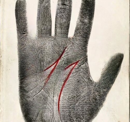 The Meaning of the “M” on Your Palm: A Thoughtful Exploration of Intuition, Character, and Personal Potential