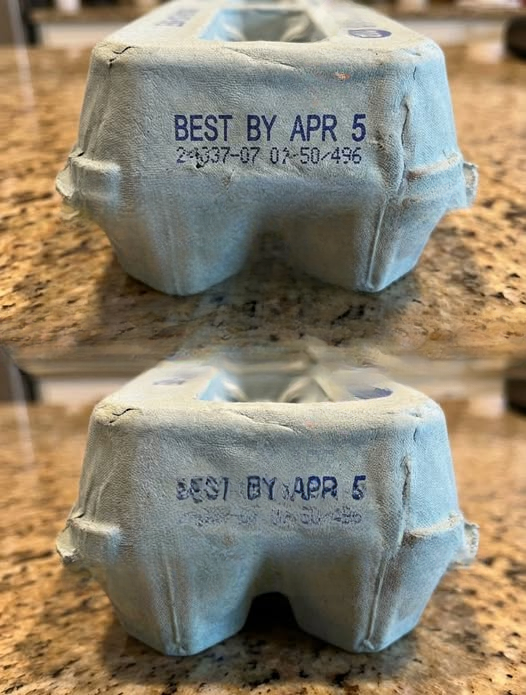 What the Codes and Labels on Your Egg Carton Actually Mean: A Complete Guide to Choosing Fresh, High-Quality Eggs