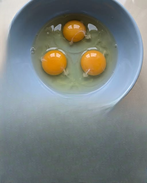 What Is That White String Inside an Egg? A Clear, Calm, and Complete Explanation