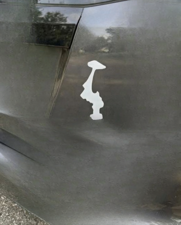 The Meaning Behind the Upside-Down Washington Sticker Many Drivers Display