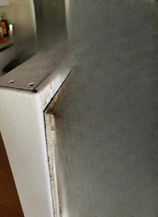 How to Safely Clean Mold from Your Refrigerator Door Seal and Keep It Fresh for Good