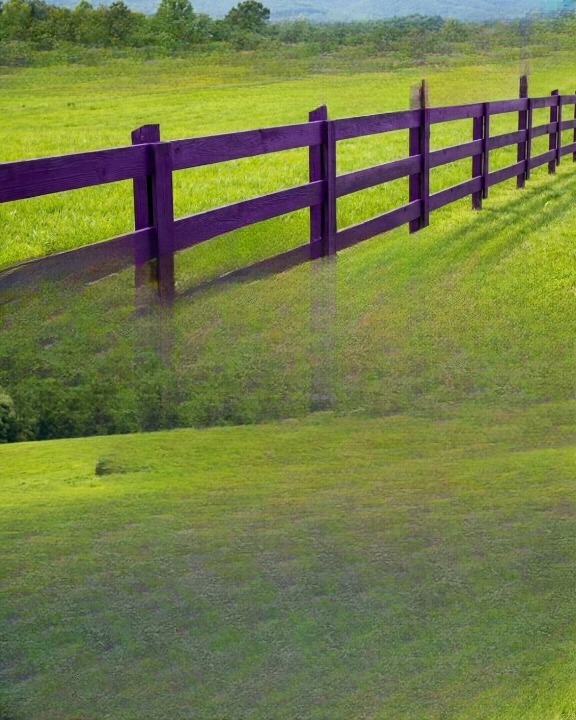 If You See a Painted Purple Fence or Post, Here’s What It Usually Means
