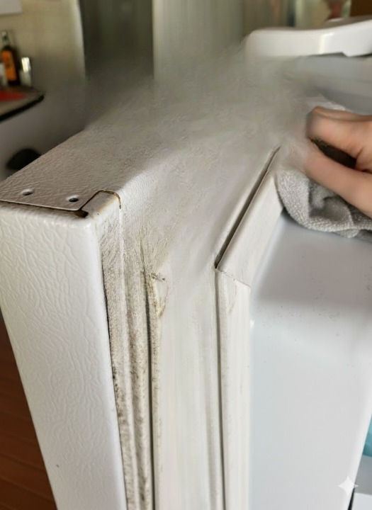 How to Safely Clean Mold From Your Refrigerator Door Gasket and Keep It Fresh