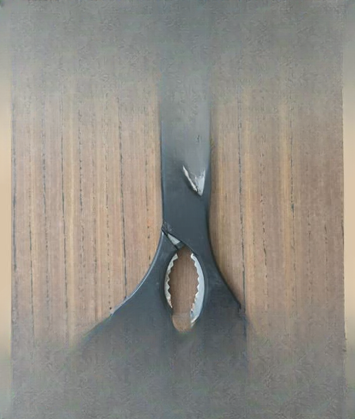The Hidden Function of Kitchen Scissors: What That Toothed Section Is Really For and How to Use It Effectively