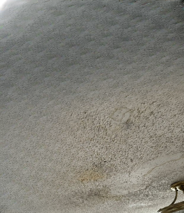 The Smart and Simple Guide to Keeping Your Popcorn Ceiling Clean and Well-Maintained