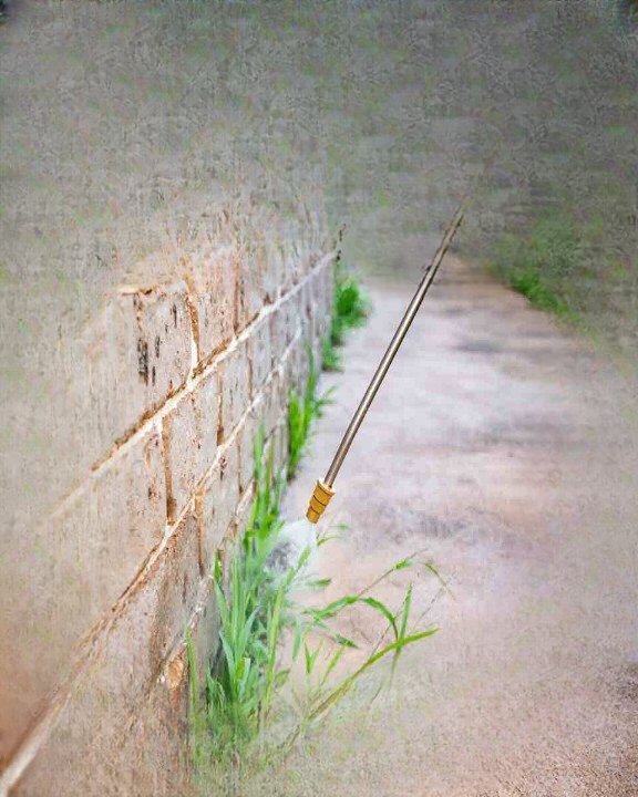 Is Vinegar an Effective Natural Solution for Weed Control? A Complete, Safe, and Practical Guide for Home Gardeners