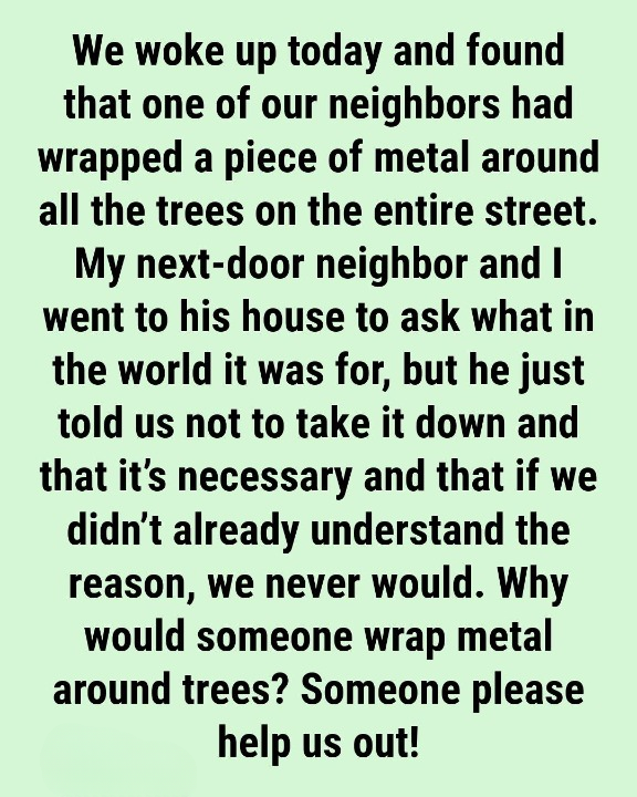 Why You Sometimes See Metal Wrapped Around Tree Trunks (And What It Really Means)