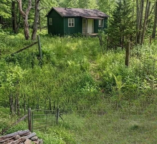 A Peaceful Retreat in Southeastern Ohio: Exploring the Growing Appeal of Simple Cabins and Off-Grid Living