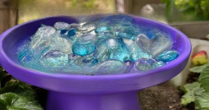 How to Create a Simple Bee Watering Station With Marbles: A Small Garden Idea That Makes a Big Difference