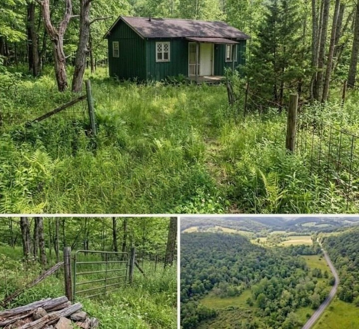 A Quiet Escape in Southeastern Ohio: Exploring the Appeal of an Affordable Rural Cabin and the Rise of Off-Grid Living