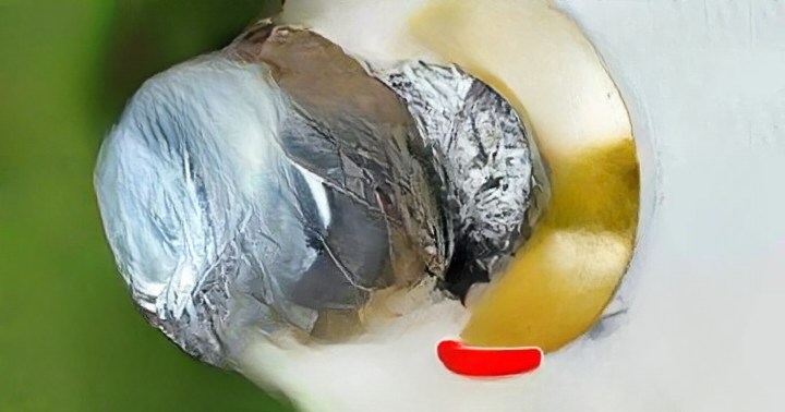 The Aluminum Foil Door Handle Method: A Budget-Friendly Home Security Idea and What You Should Know Before Trying It