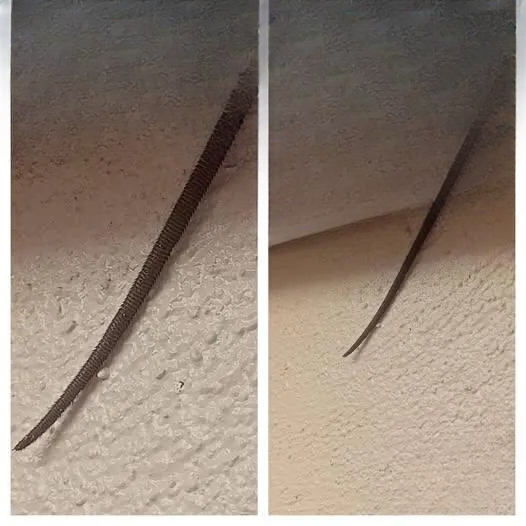 The Curious Ceiling Discovery That Turned a Reddit Post Into an Internet-Wide Mystery