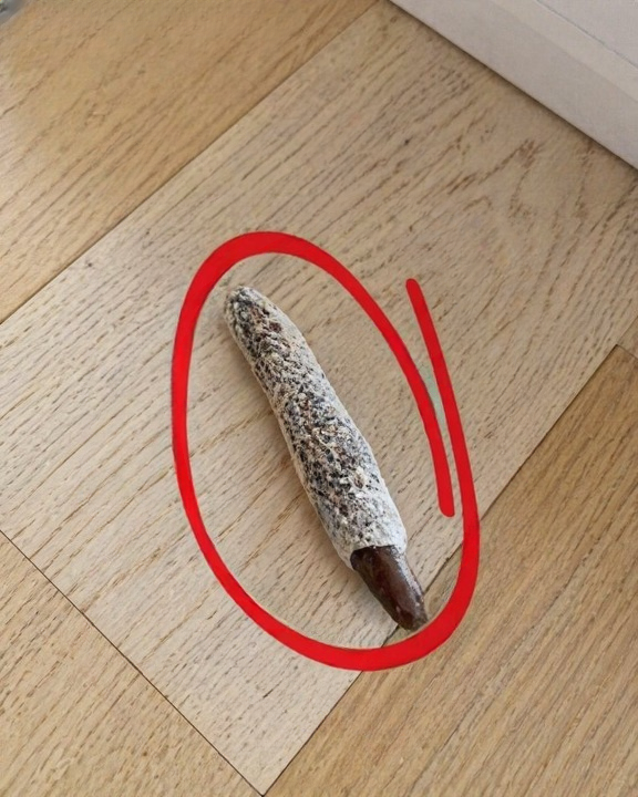 The Unexpected Discovery on My Floor That Changed Everything