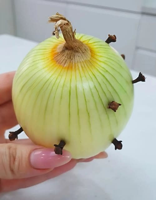 The Traditional French Cooking Trick: Why Some People Stud an Onion with Cloves