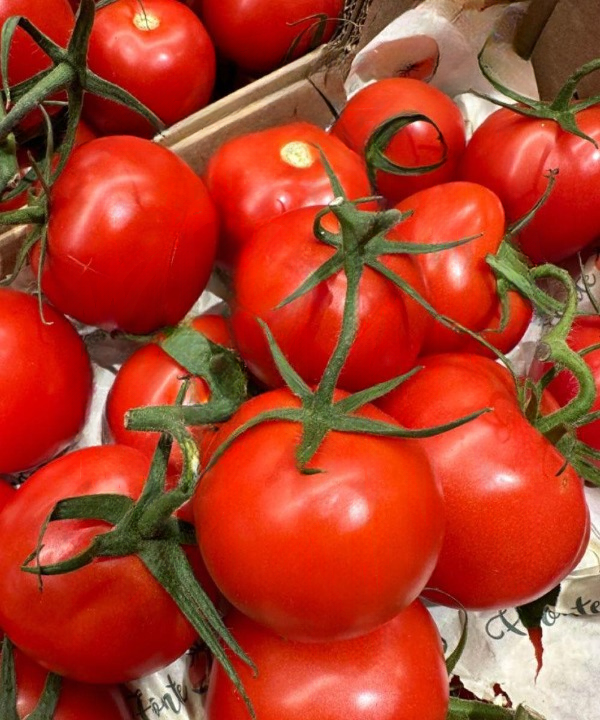 Doctors Explain What May Happen When Tomatoes Become a Regular Part of Your Diet — A Closer Look at Their Potential Health Benefits