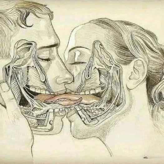 What Happens During a Deep Kiss: The Science, Emotions, and Meaning Behind the Moment