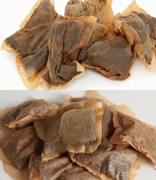 Before You Toss That Tea Bag: Simple and Practical Ways to Reuse It at Home