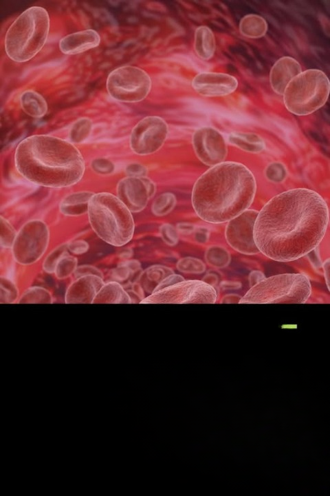 What Recent Research Suggests About Blood Types: Exploring Health Patterns, Science, and What It Means for You