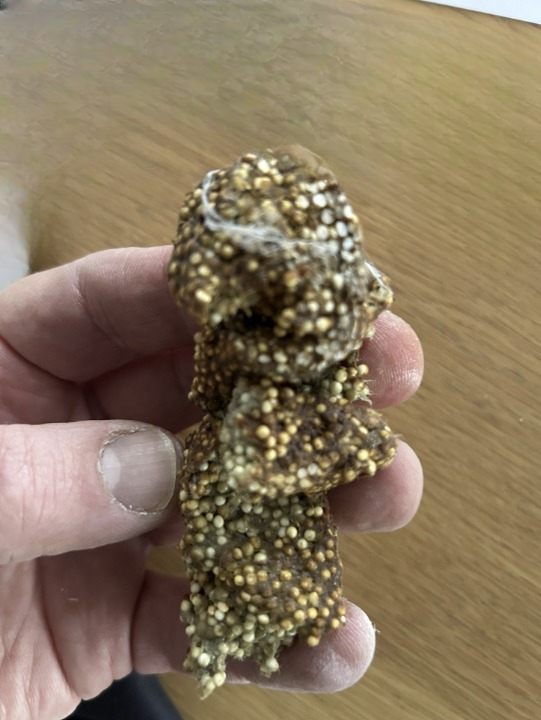 I Thought It Was Something Terrible Under the Shelf—But It Turned Into a Strange Trip Back to Childhood