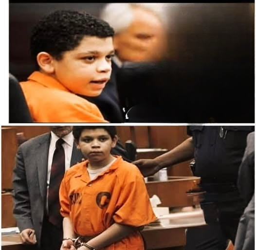 Shaping Justice: Rethinking Life Sentences for Young Offenders in America
