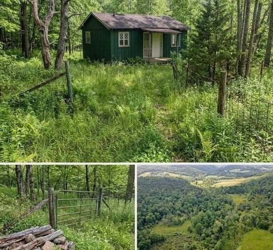 From Busy Cities to Peaceful Forests: The Rising Appeal of Simple Cabins and Off-Grid Living in Rural Ohio