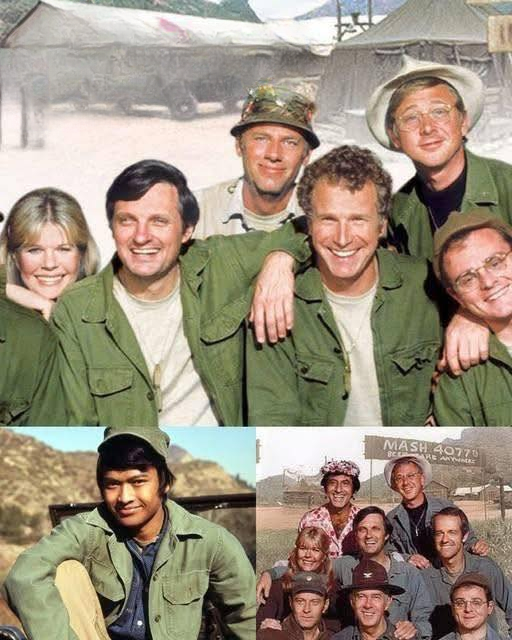 Beloved MASH Star Remembered at 82: A Legacy of Laughter, Talent, and Timeless Television
