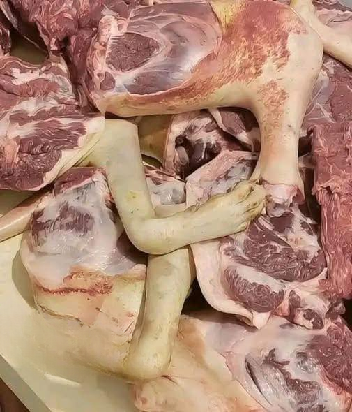 How Misleading Headlines Spread Online: A Closer Look at a Viral Food Safety Story