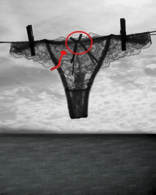 The Tiny Bow on Your Underwear: The Secret History You Never Knew