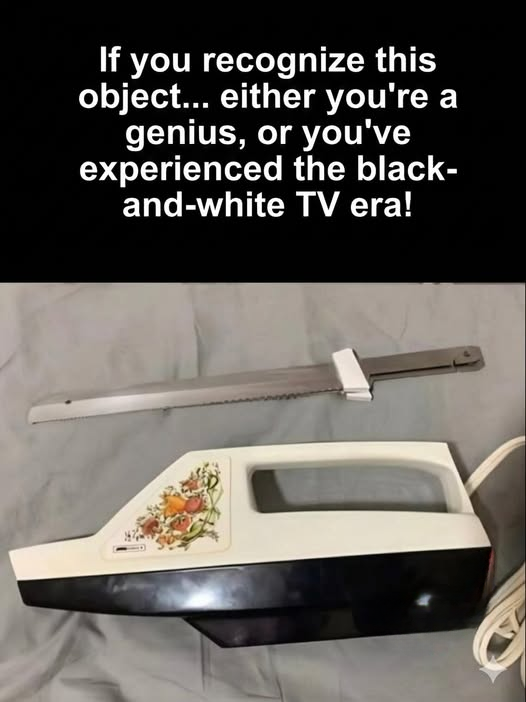 The Vintage Kitchen Tool That Resembles a Clothes Iron—but Was Actually Designed for Carving Food