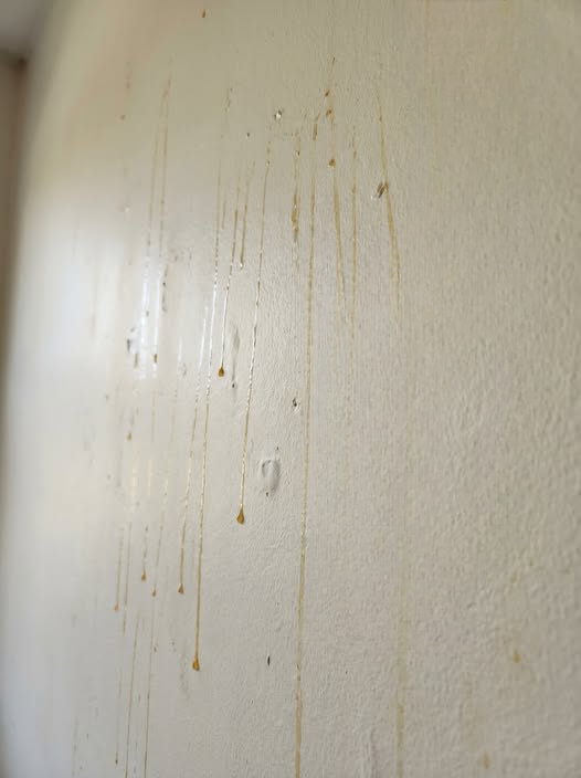 Why Are Yellow Streaks Appearing on Your Bathroom Walls? Causes, Solutions, and Prevention Tips