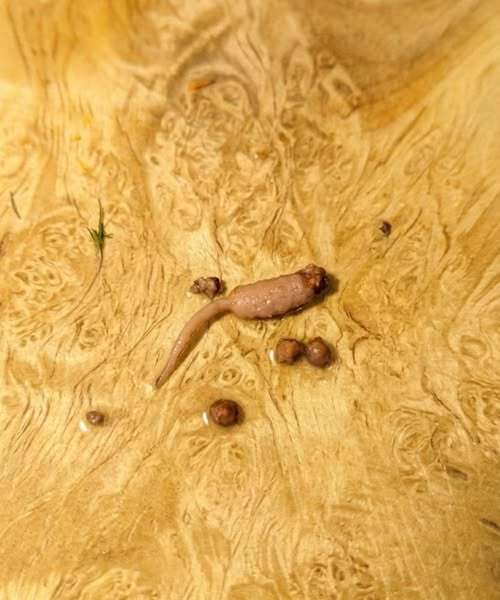 I Found Something Unusual in My Ground Beef While Cooking — Here’s What It Might Be
