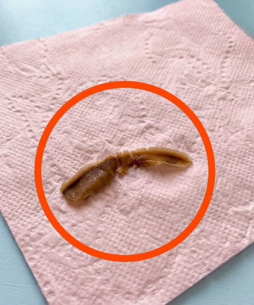 I Found a Strange Object in My Girlfriend’s Bathroom and Couldn’t Figure Out What It Was — A Calm, Practical Explanation
