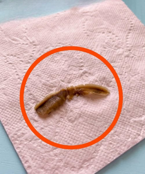 A Strange Discovery in the Bathroom: What an Unfamiliar Object Taught Me About Assumptions and Perspective