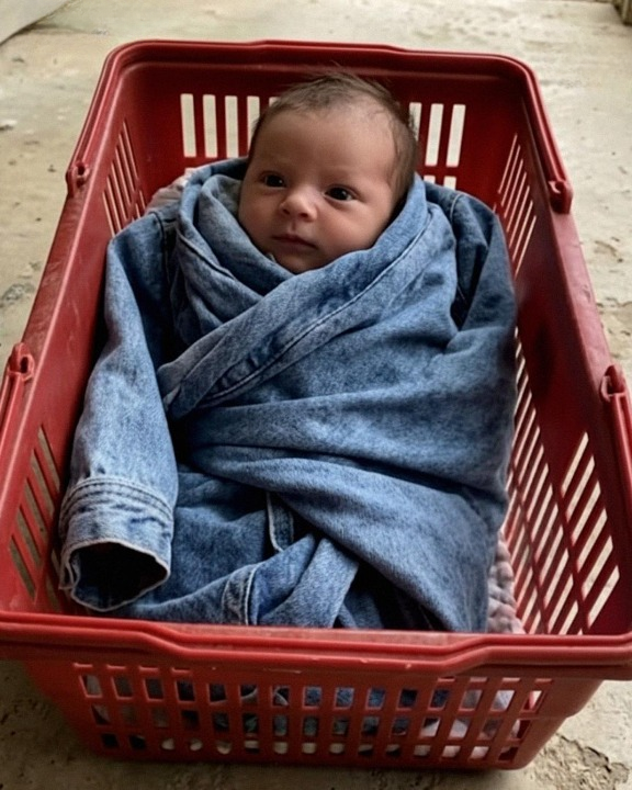 The Baby in the Denim Jacket: A Shocking Revelation from My Daughter’s Past