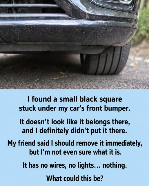 The Unexpected Object Beneath the Car: How a Small Discovery Turned Into a Lesson About Awareness