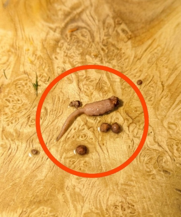 An Unexpected Moment While Cooking Ground Beef: A Reminder About Awareness in the Kitchen