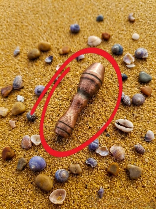 A Beach Walk That Turned Into an Unexpected Discovery