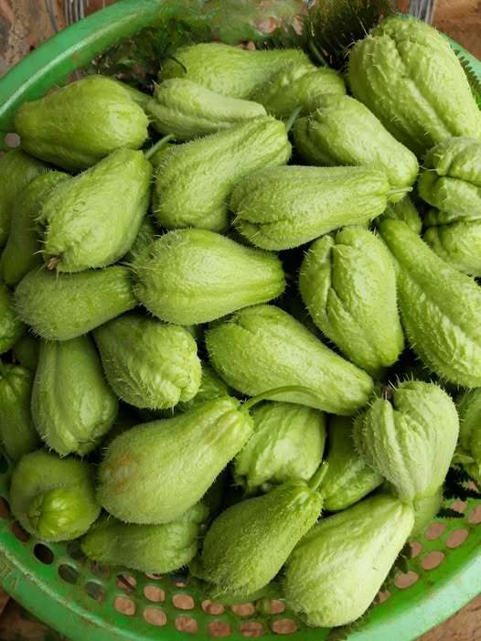 A Strange Night Discovery—and the Overlooked Green Vegetable Worth Knowing About
