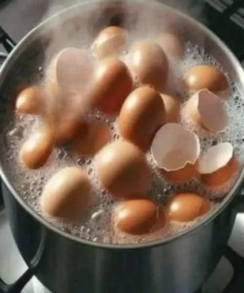 How to Prepare and Use Eggshells Safely: Practical Ways to Get More Value from a Common Kitchen Item