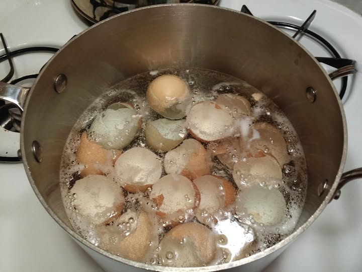 Don’t Throw Eggshells Away: Boil Them and Discover What They Can Do