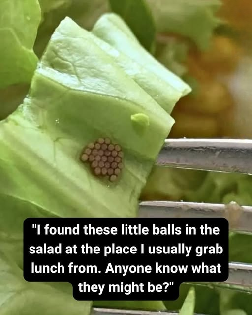 Why That “Quinoa” on Your Salad Might Not Be What You Think — Understanding a Surprising Food Safety Reality