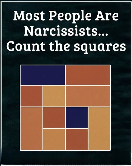 Can You Find All the Squares? A Simple Puzzle That Tests Observation, Patience, and Thinking Style
