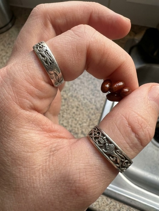 I Found Unusual Reddish-Brown Capsules on My Bed—Here’s What I Learned After Looking Closer