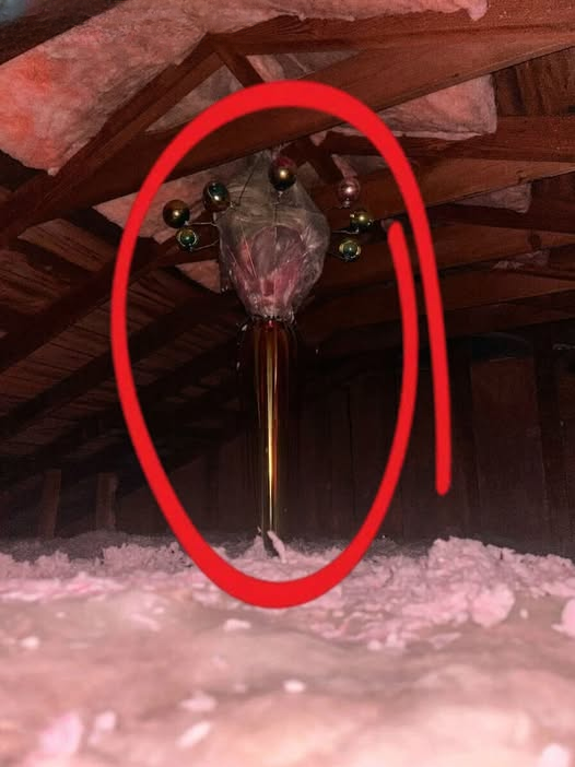 A Curious Find in a 1960s Home: The Mysterious Object Hanging in the Attic