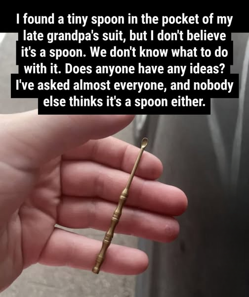 The Curious Case of the Tiny Metal Spoon: Exploring Its Possible Purpose and Why Small Objects Spark Big Questions