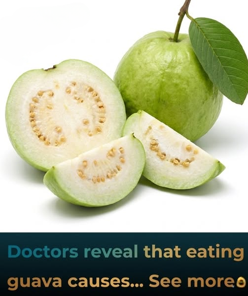 Guava Leaf Tea and Your Health: What Experts Say About Its Benefits, Limitations, and Everyday Use