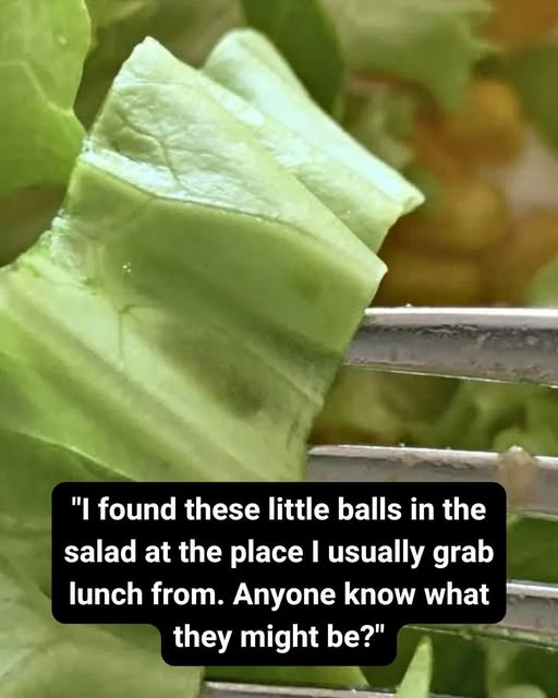 She Thought It Was Quinoa—Then She Took a Closer Look and Was Completely Surprised