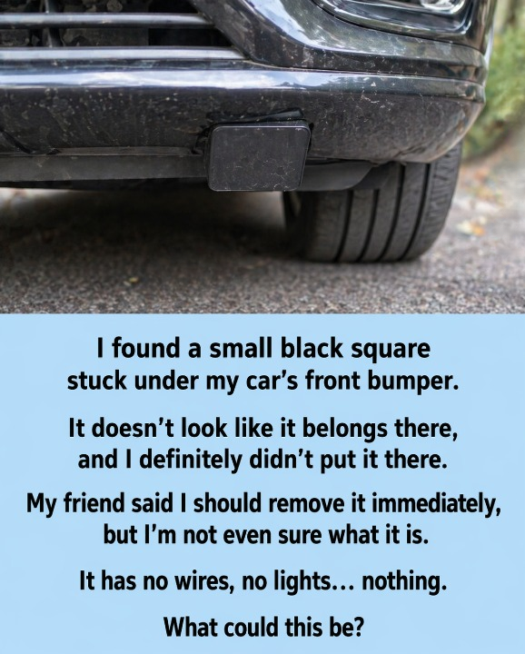 The Unfamiliar Object Beneath the Car: How a Small Discovery Led to a Simple Explanation